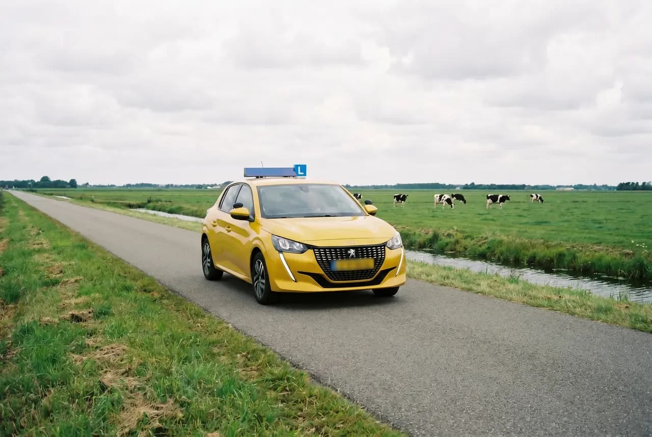 Rijles in Sint Nicolaasga