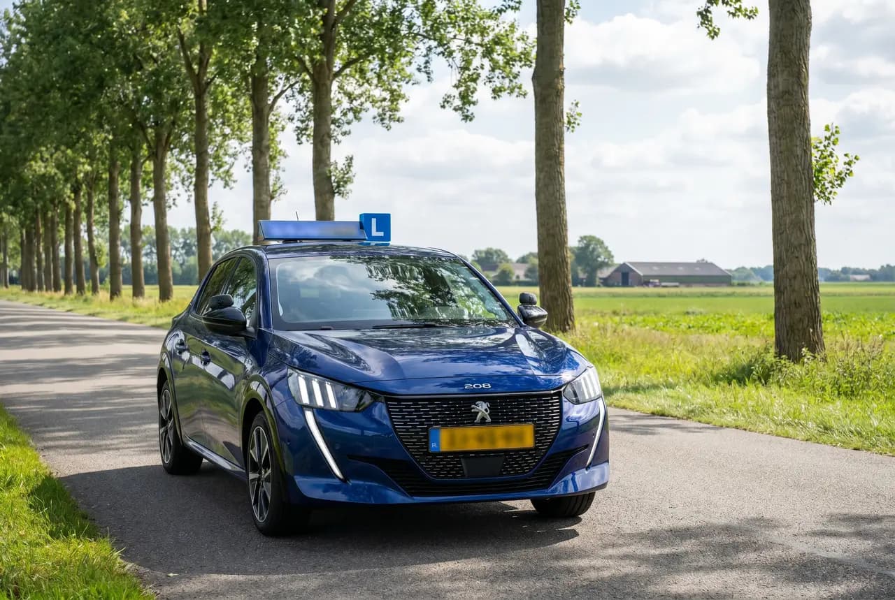 Rijles in de Rips