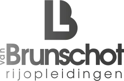 Logo van Van Brunschot Rijopleidingen in Tilburg