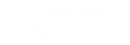 Logo van A Ariaan Rijschool in Apeldoorn