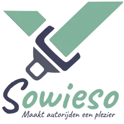 Logo van Rijschool Sowieso in Ermelo