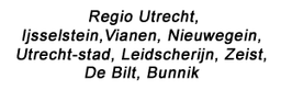 Logo van Auto-rijschoolZeist in IJsselstein Ut