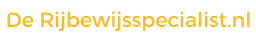 Logo van De Rijbewijsspecialist in Pijnacker