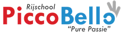 Logo van MasterDrive in Bergschenhoek