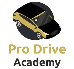 Logo van Drive Pro School in Amsterdam