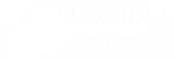 Logo van Rijschool Goal in 's-Gravenhage