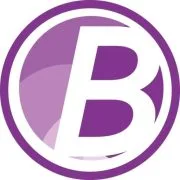 Logo van Rijschool Beugelsdijk in Alphen aan den Rijn